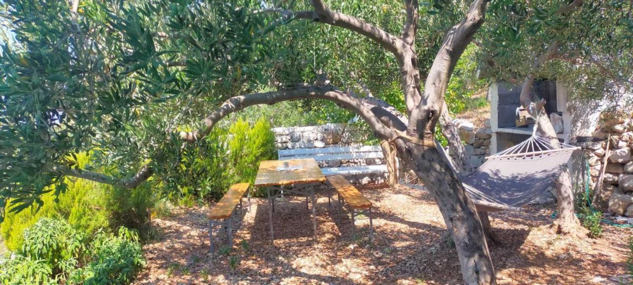 Apartment Croatia Art ตราสนิสเซ ภายนอก รูปภาพ