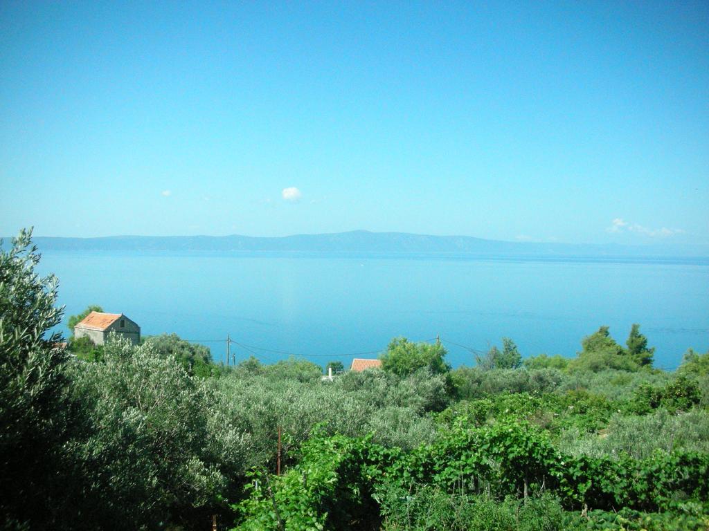 Apartment Croatia Art ตราสนิสเซ ภายนอก รูปภาพ